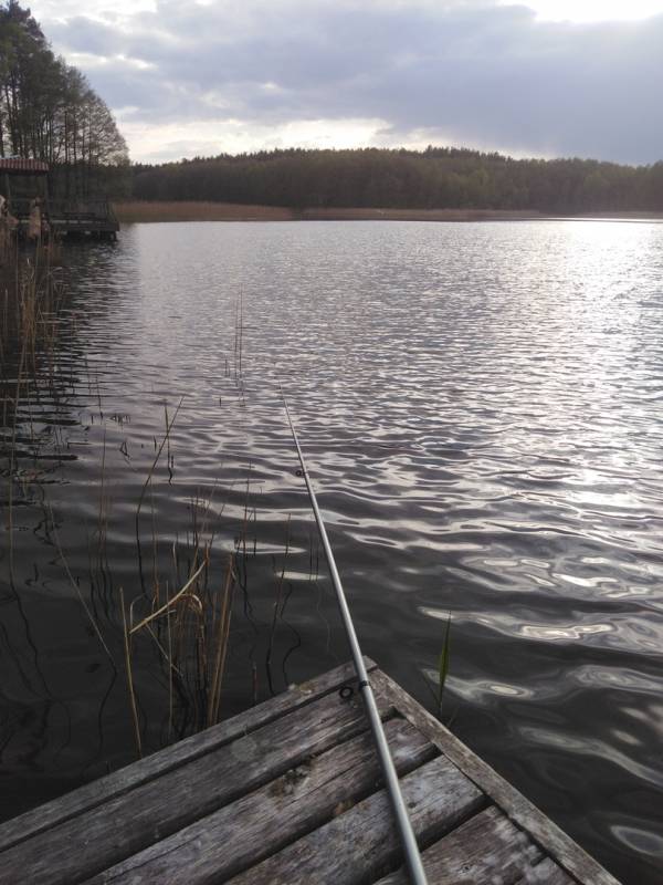 Фотоотчет с рыбалки. Место: озеро Беляшка