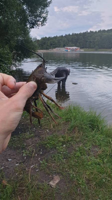 Фотоотчет с рыбалки. Место: Минская область