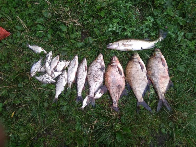 Фотоотчет с рыбалки. Место: Беларусь