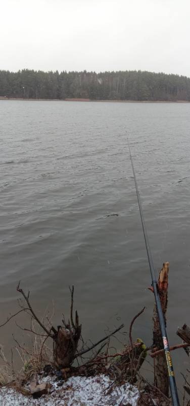 Фотоотчет с рыбалки. Место: Быхов
