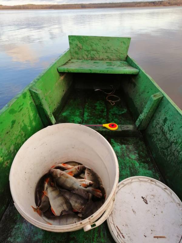Фотоотчет с рыбалки. Место: озеро Антозеро