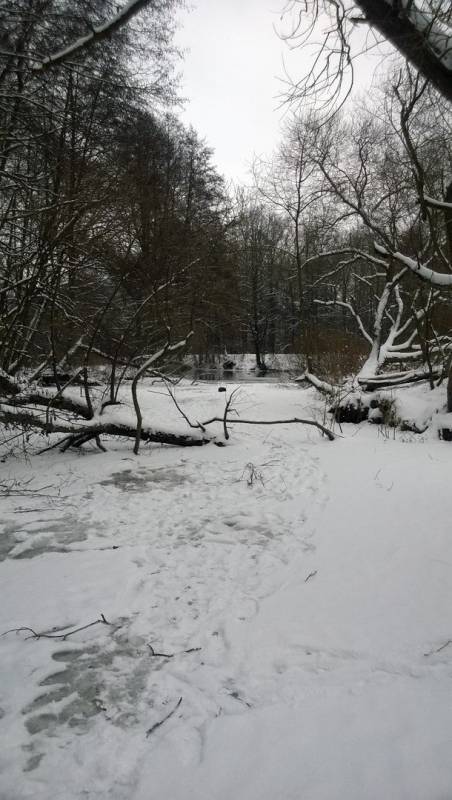 Фотоотчет с рыбалки. Место: водохранилище Дрозды