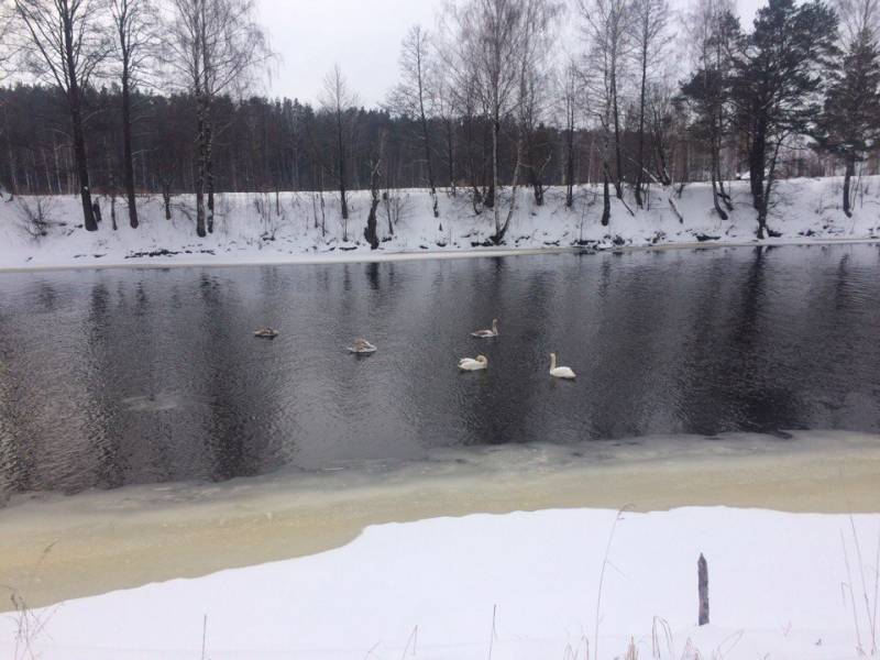 Фотоотчет с рыбалки. Место: Бобруйск