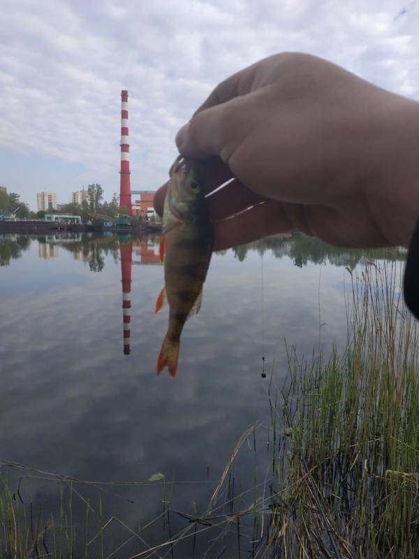 Фотоотчет с рыбалки. Место: водохранилище Большие Сои