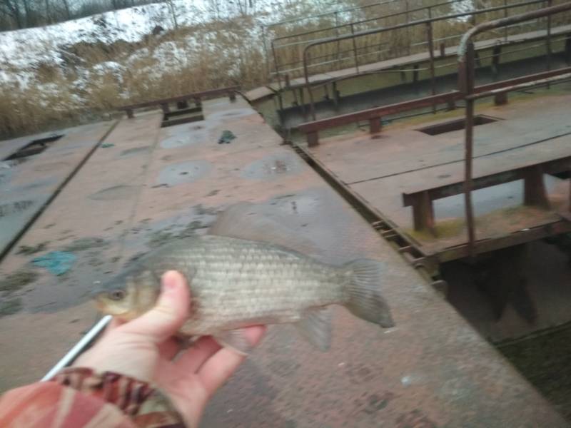 Фотоотчет с рыбалки. Место: Новополоцк