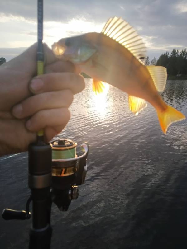 Фотоотчет с рыбалки. Место: озеро Огзино
