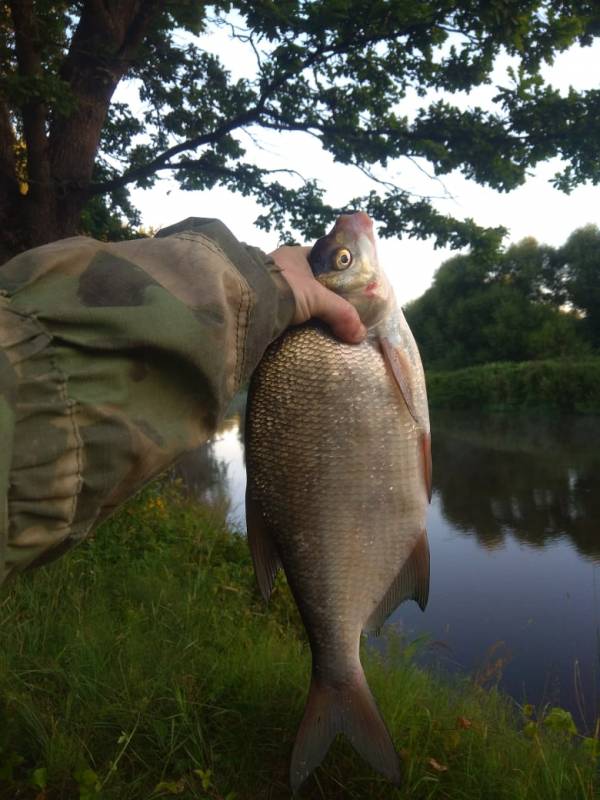 Фотоотчет с рыбалки. Место: Минск