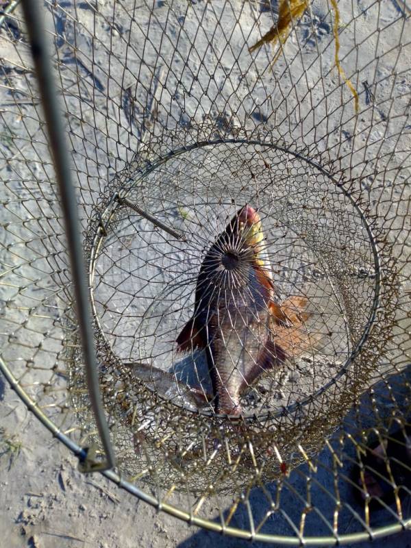 Фотоотчет с рыбалки. Место: Пинск
