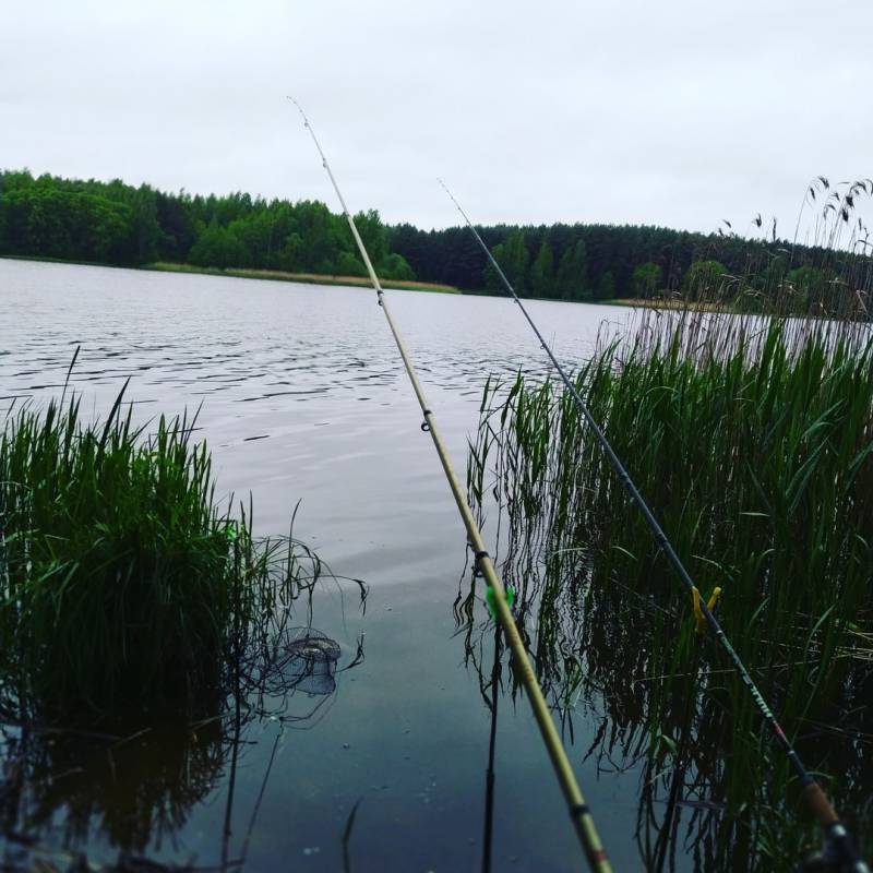 Фотоотчет с рыбалки. Место: Славгород