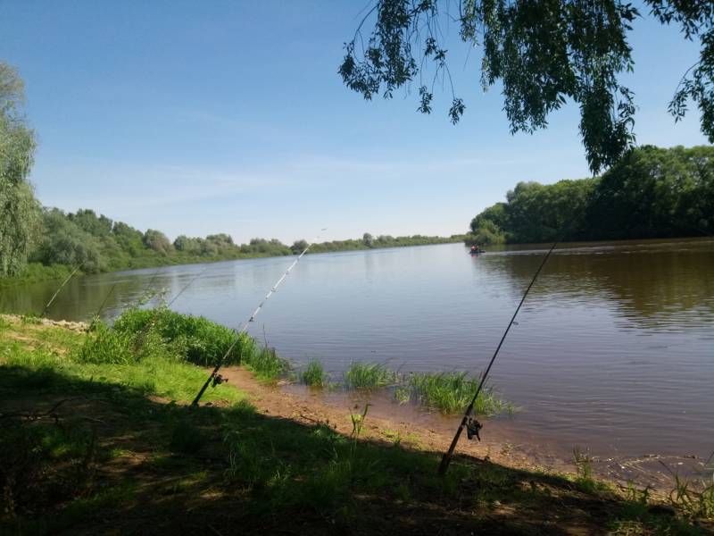 Фотоотчет с рыбалки. Место: Днепро-Брагинское водохранилище