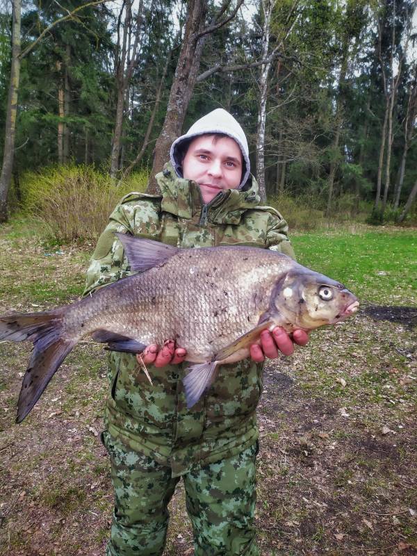 Фотоотчет по рыбе: Лещ. Место рыбалки: Минск