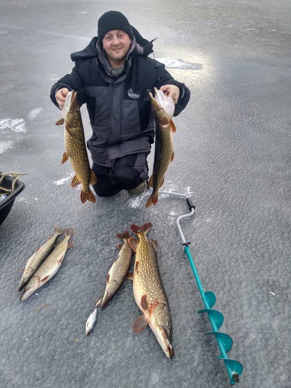 Фотоотчет по рыбе: Щука. Место рыбалки: озеро Огзино