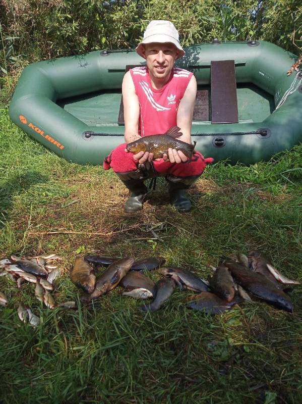 Фотоотчет по рыбе: Красноперка, Линь. Место рыбалки: Беларусь