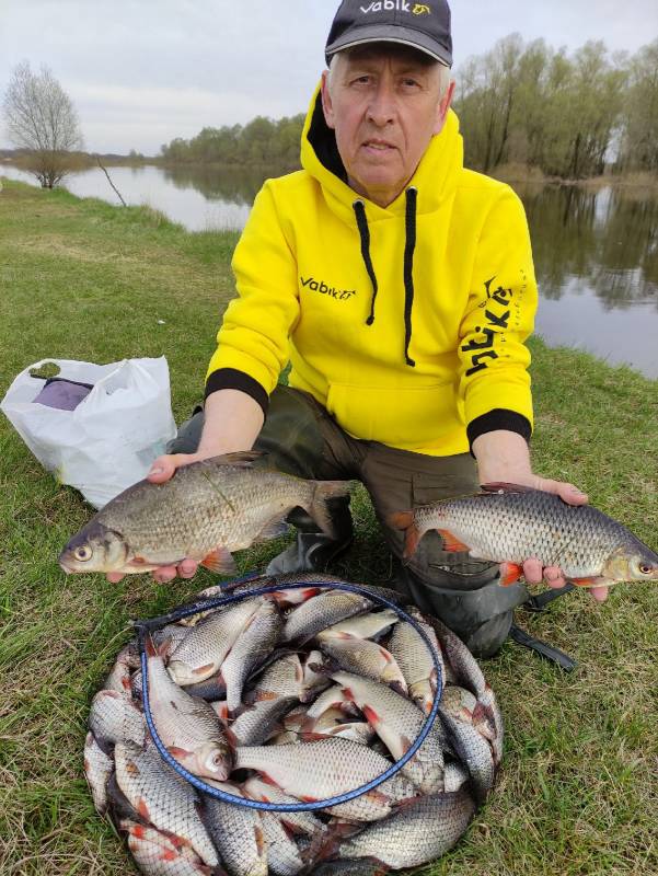 Фотоотчет по рыбе: Густера, Плотва. Место рыбалки: Беларусь