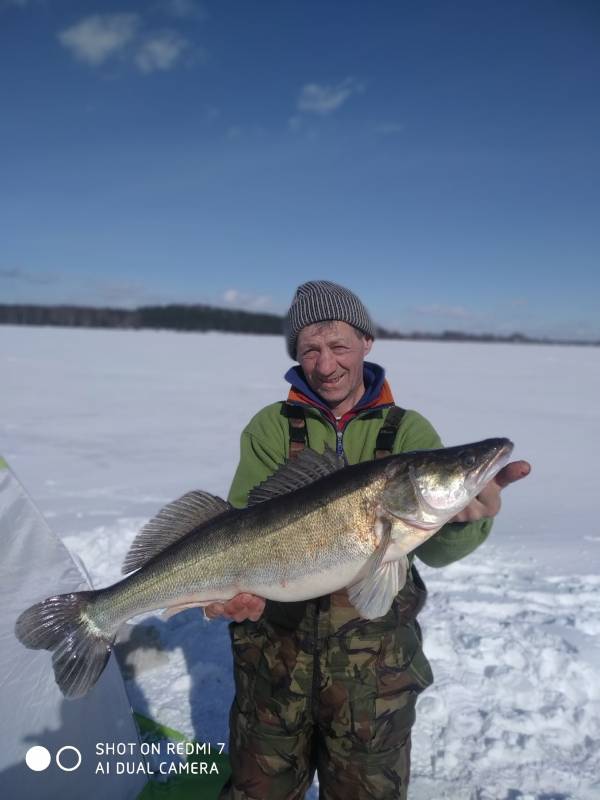 Фотоотчет по рыбе: Судак. Место рыбалки: Беларусь
