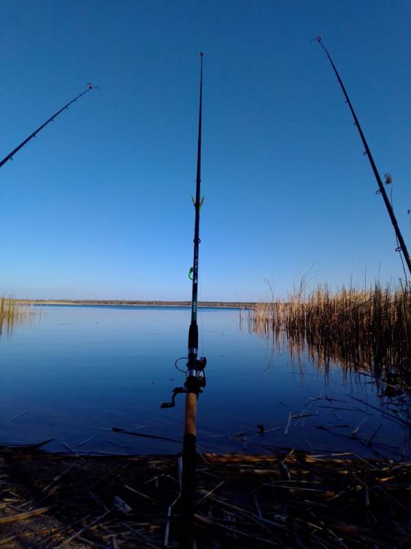 Фотоотчет с рыбалки. Место: Пинск