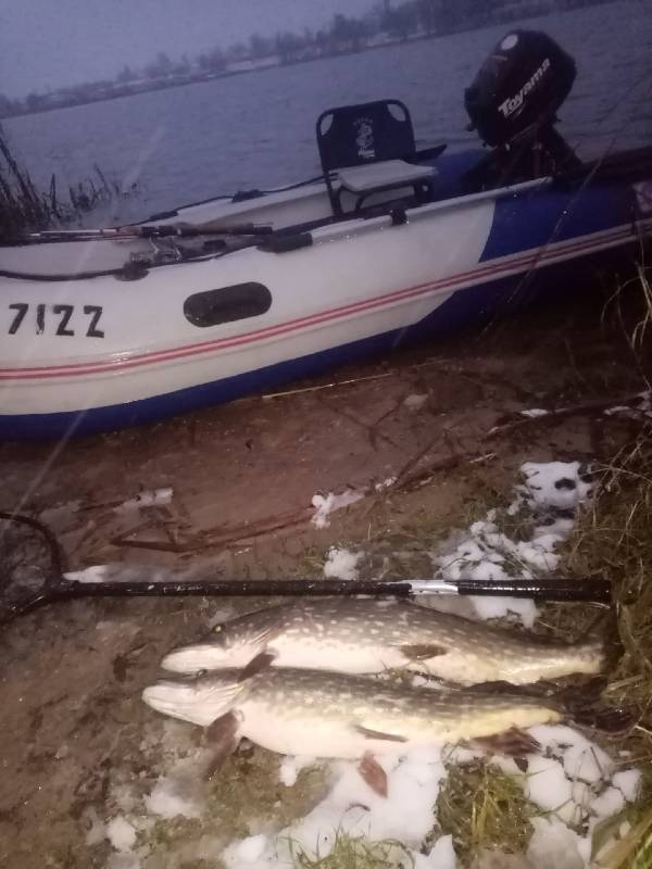 Фотоотчет по рыбе: Щука. Место рыбалки: озеро Свито
