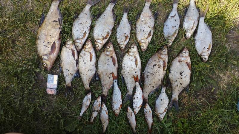 Фотоотчет с рыбалки. Место: озеро Южное Волосо