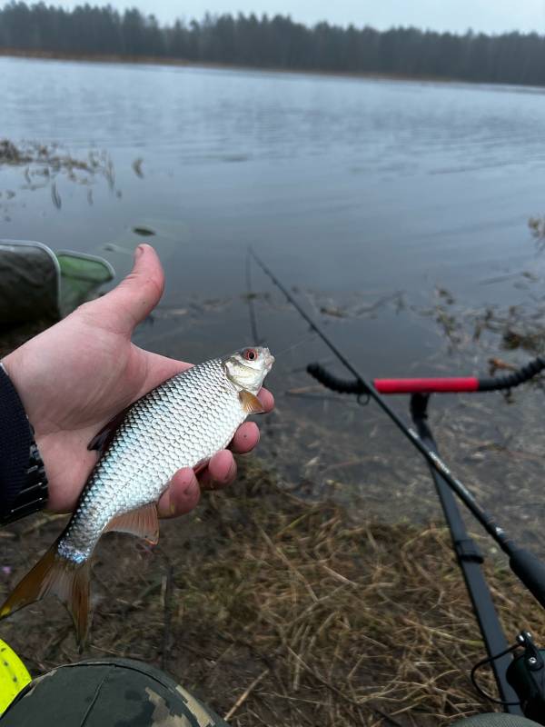 Фотоотчет с рыбалки. Место: Логойск