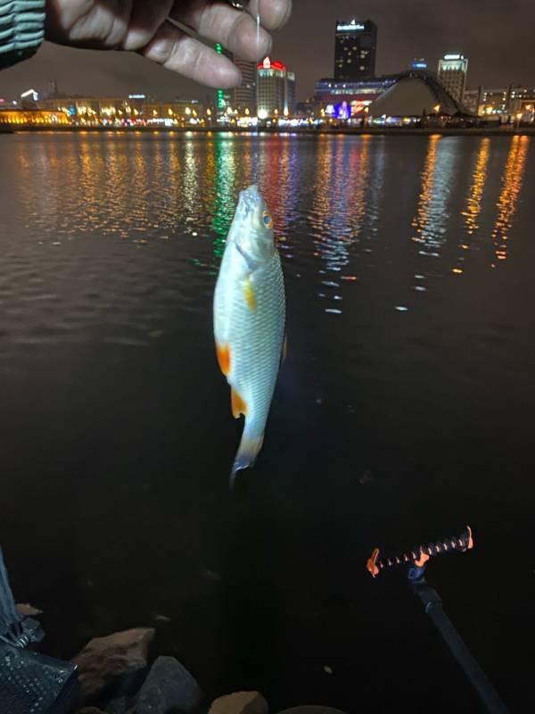 Фотоотчет с рыбалки. Место: Логойск