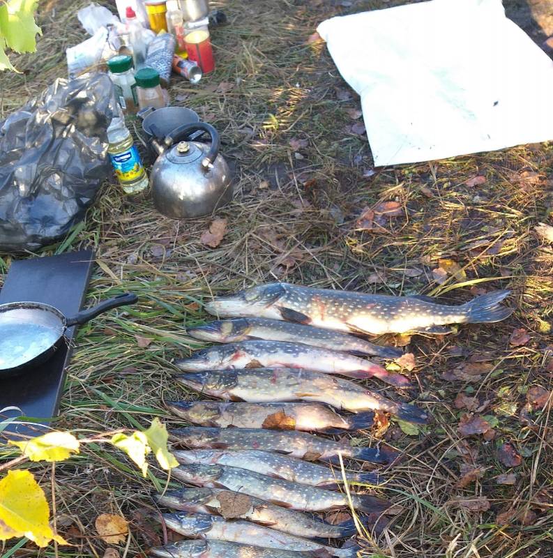 Фотоотчет по рыбе: Щука. Место рыбалки: Солигорск