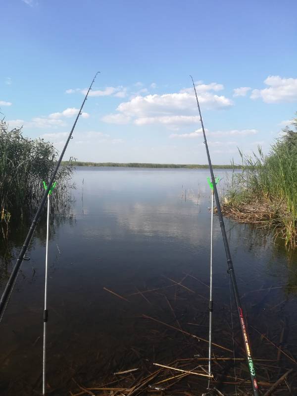 Фотоотчет с рыбалки. Место: Червоное озеро