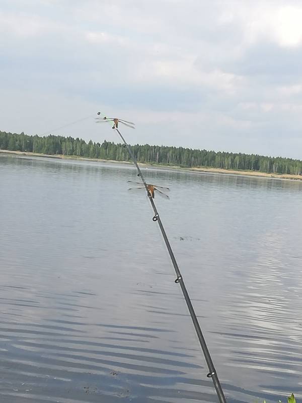 Фотоотчет с рыбалки. Место: Волчковичское водохранилище