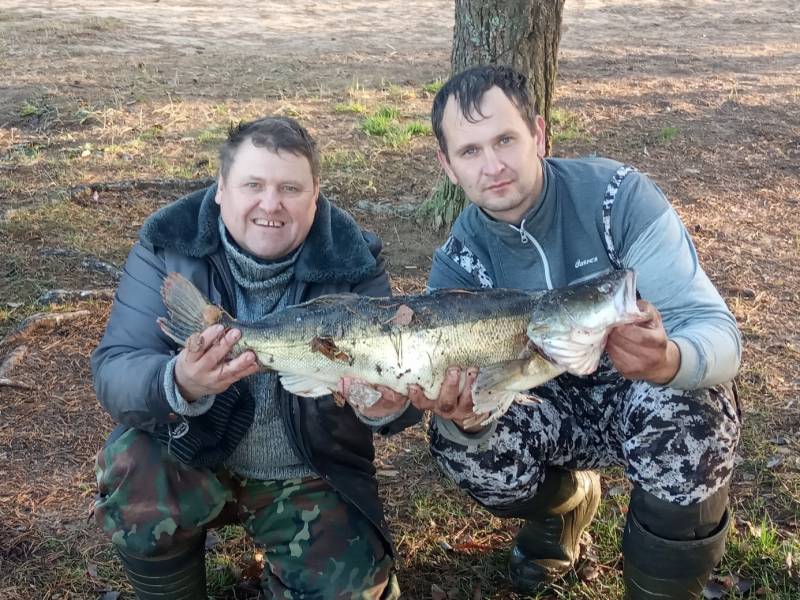 Фотоотчет по рыбе: Судак. Место рыбалки: Минск
