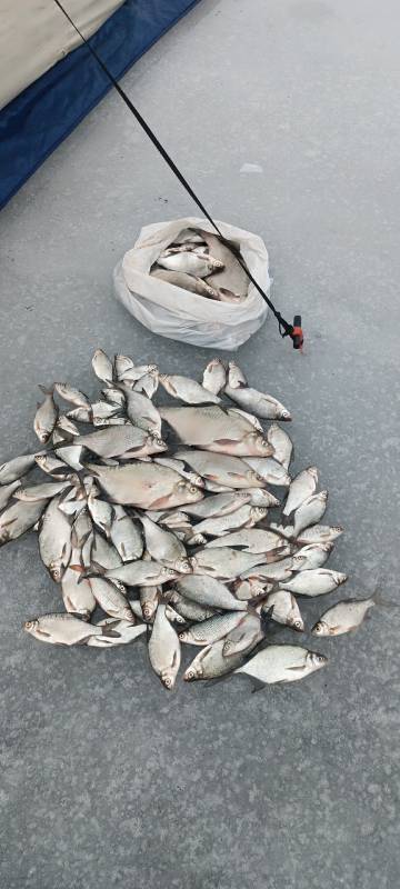 Фотоотчет с рыбалки. Место: озеро Рака