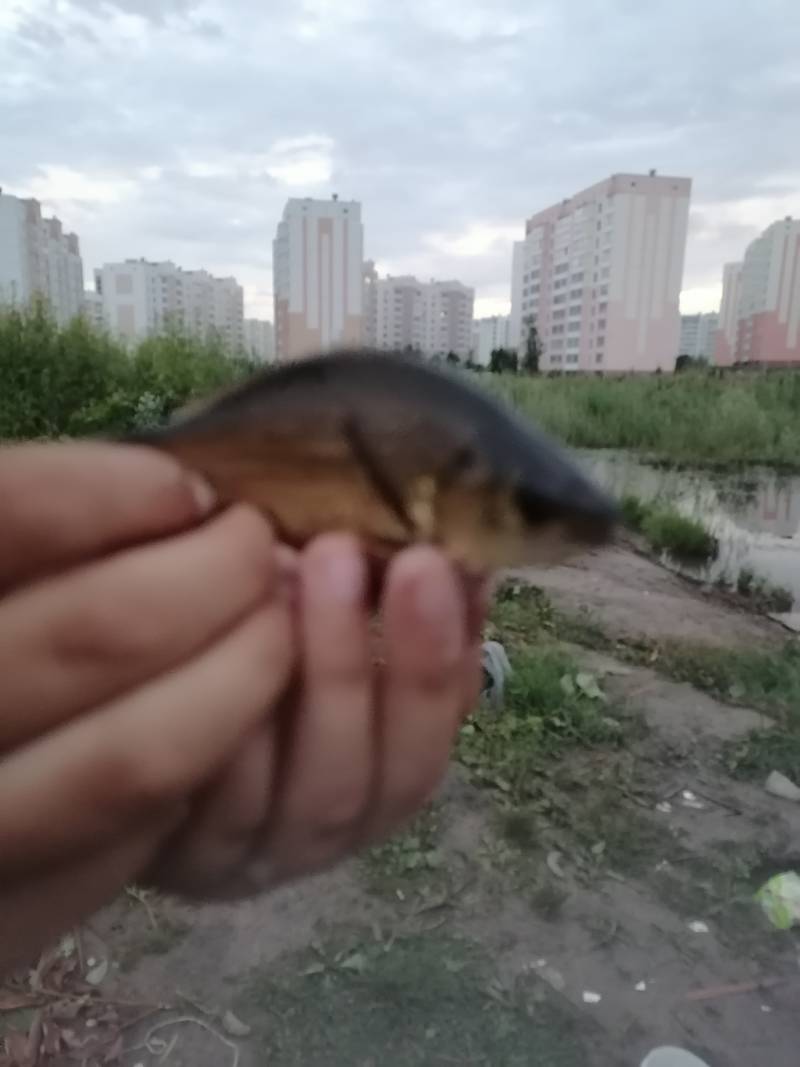 Фотоотчет рыбалки - Витебск