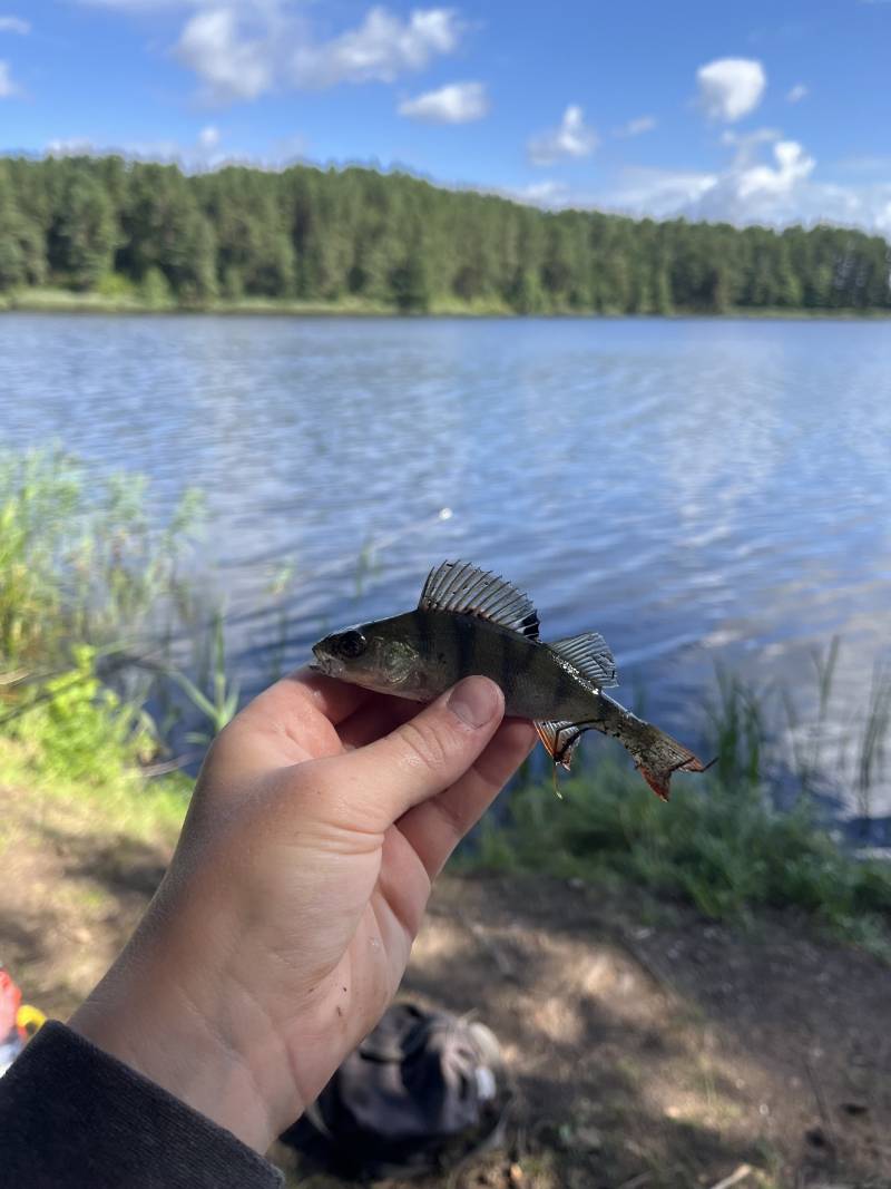 Фотоотчет рыбалки - Островецкий район