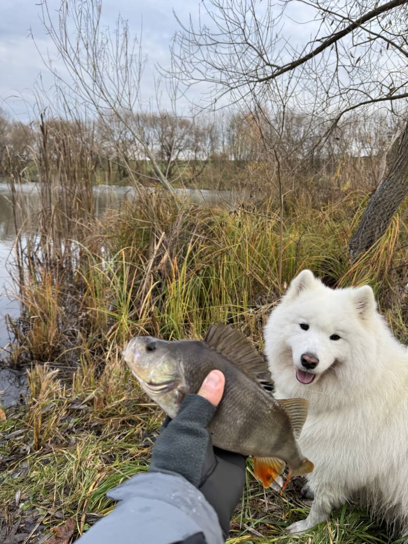 Фотоотчет рыбалки - Марьина Горка