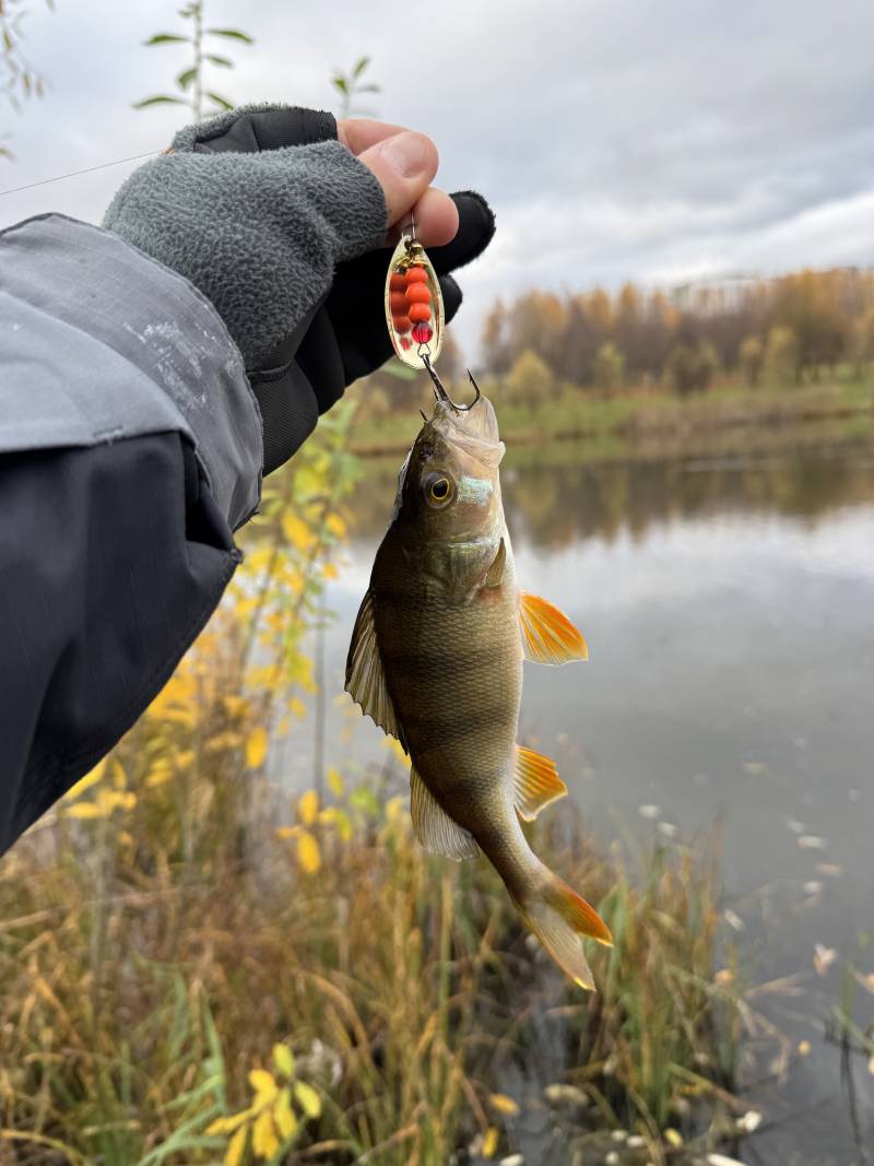 Фотоотчет рыбалки - Марьина Горка