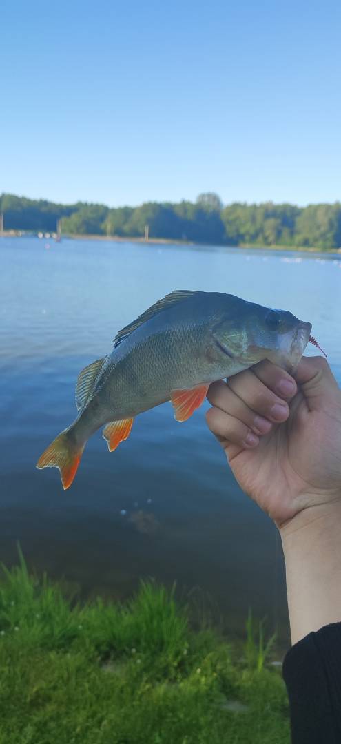 Фотоотчет рыбалки - Козловщина