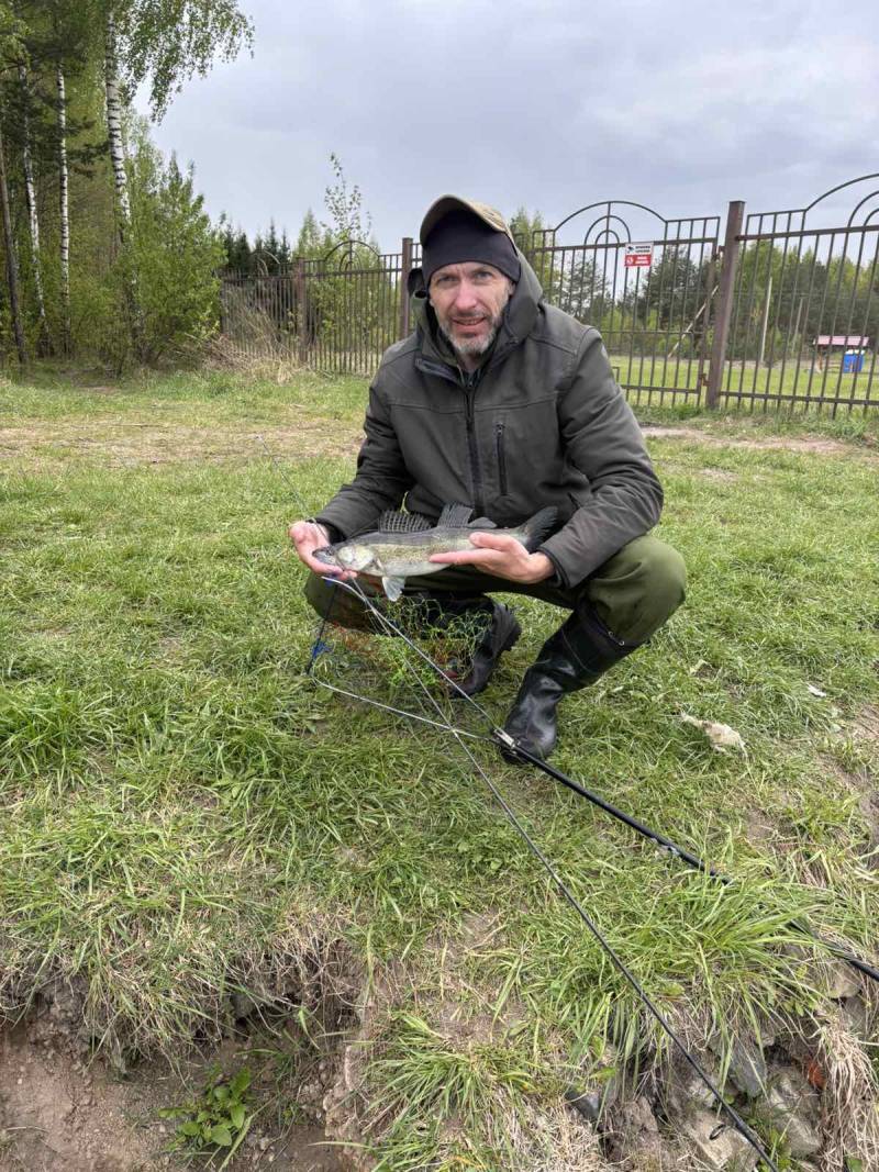 Рыболовный отчет по рыбе: Судак