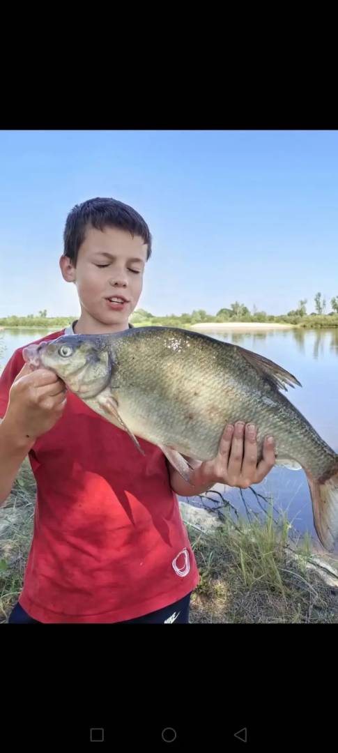 Рыболовный отчет по рыбе: Лещ