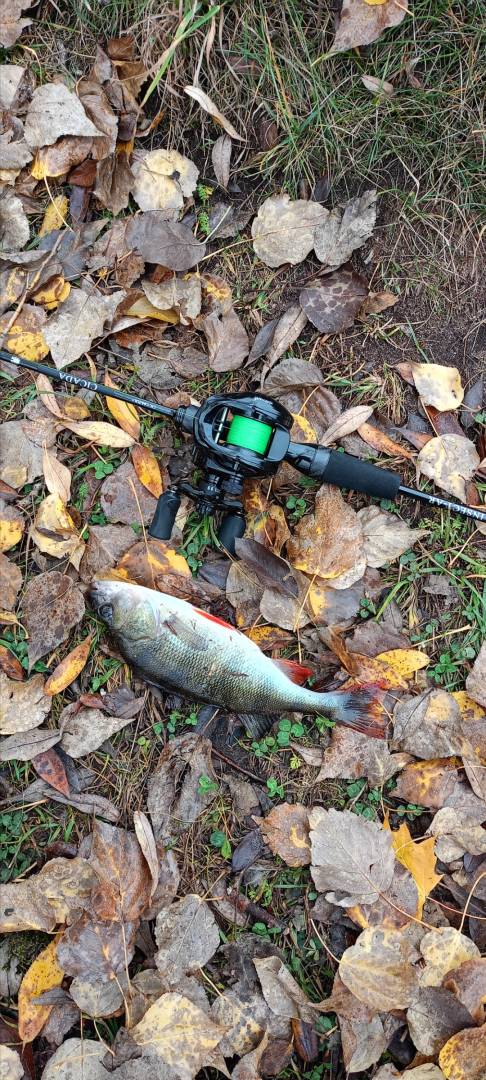 Фотоотчет рыбалки - Косачи