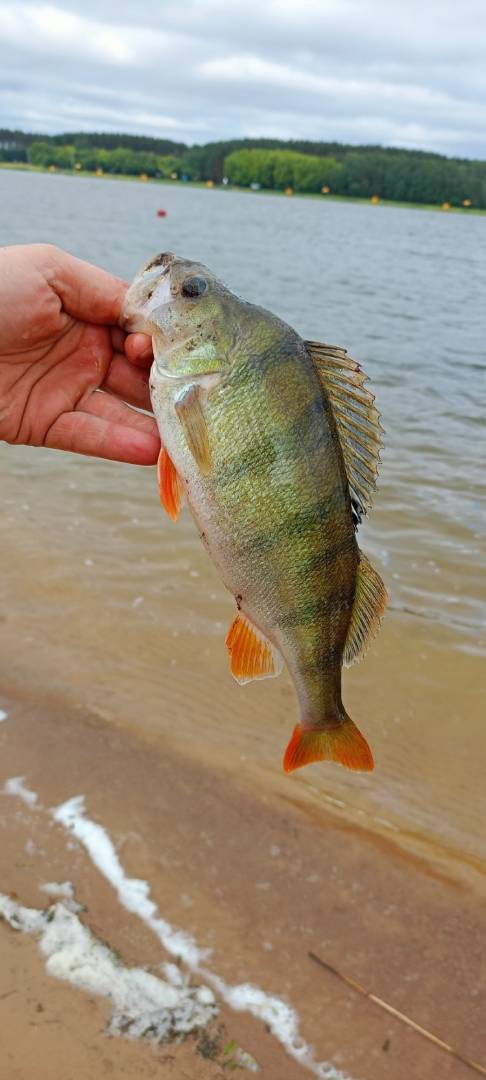Фотоотчет рыбалки - Цнянское водохранилище
