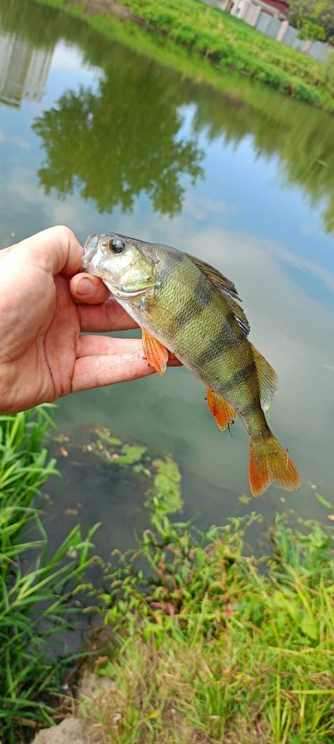 Фотоотчет рыбалки - Узда