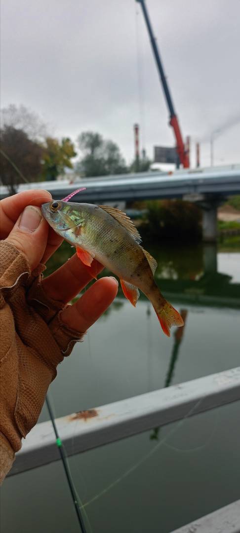 Фотоотчет рыбалки - Беларусь