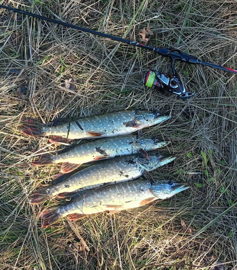 Фотоотчет рыбалки - Хойники