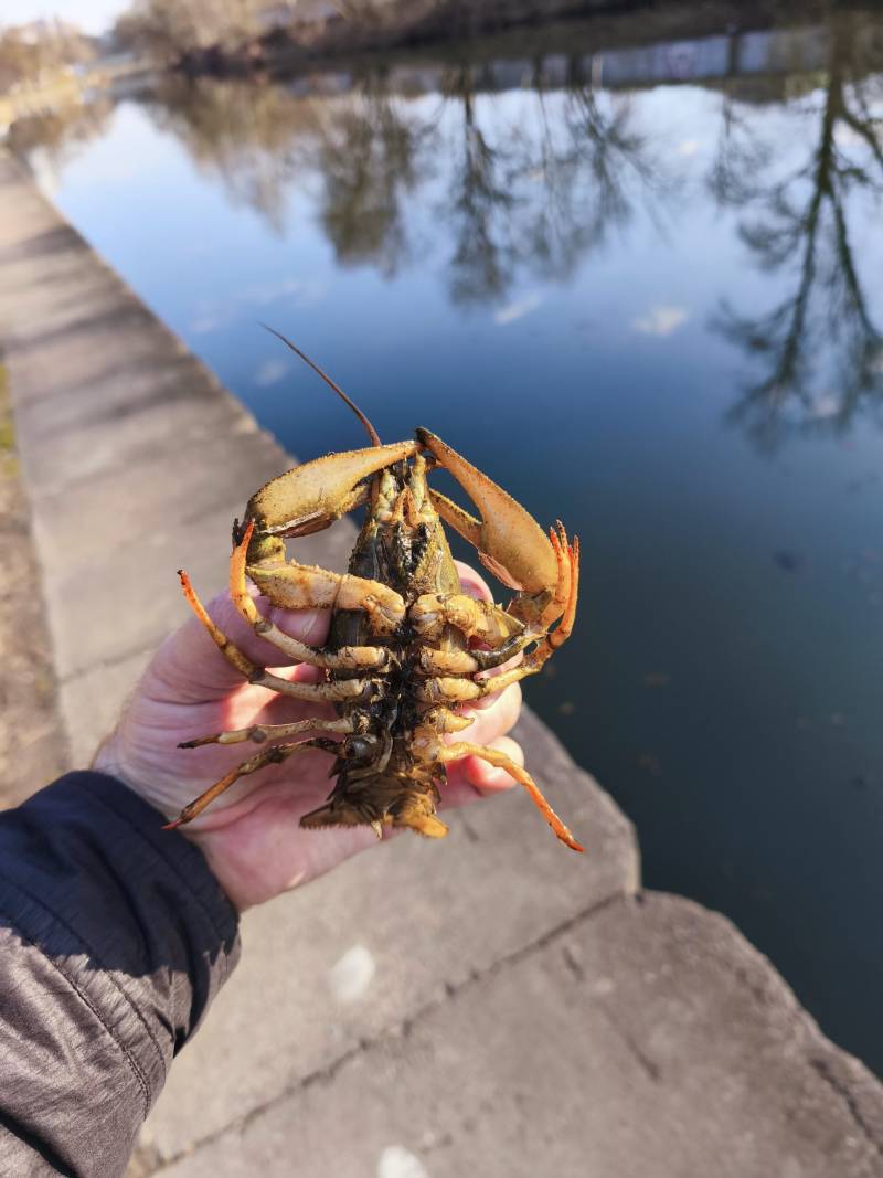 Фотоотчет рыбалки - Раков