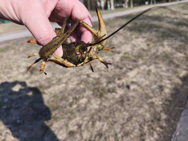 Фотоотчет рыбалки - Раков