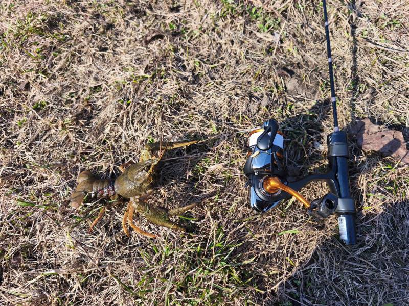 Фотоотчет рыбалки - Раков
