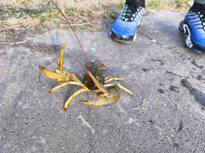 Фотоотчет рыбалки - Раков