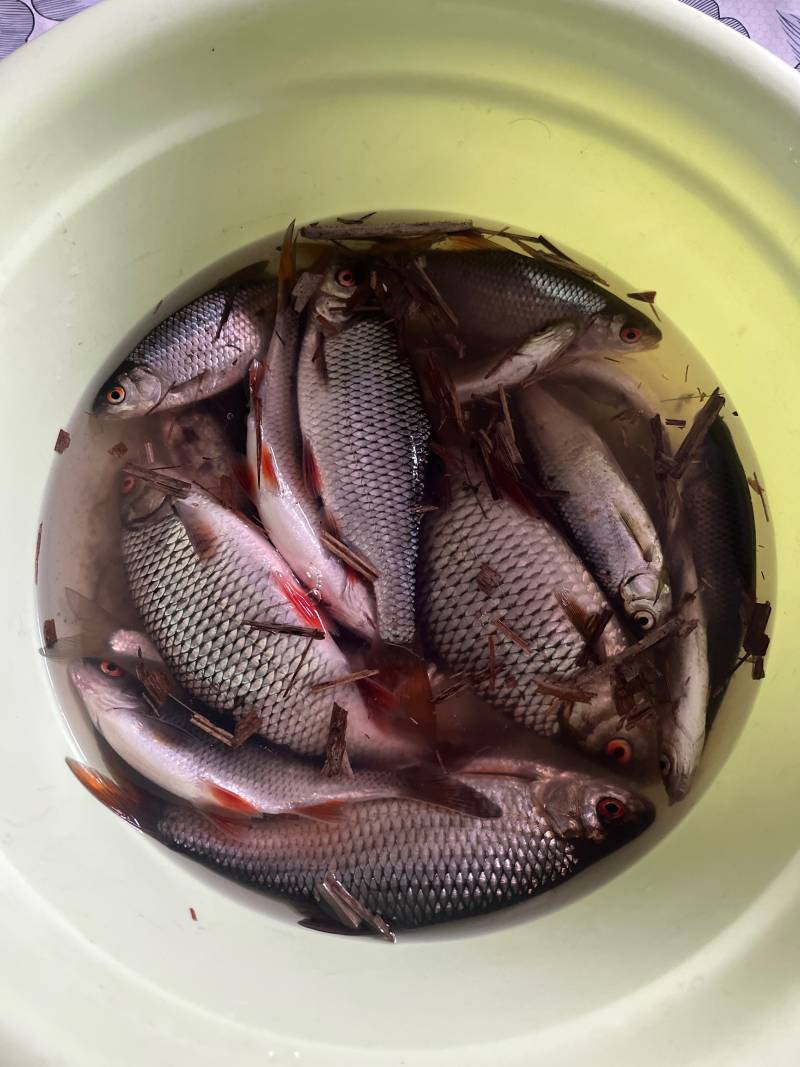 Фотоотчет рыбалки - Столбцы