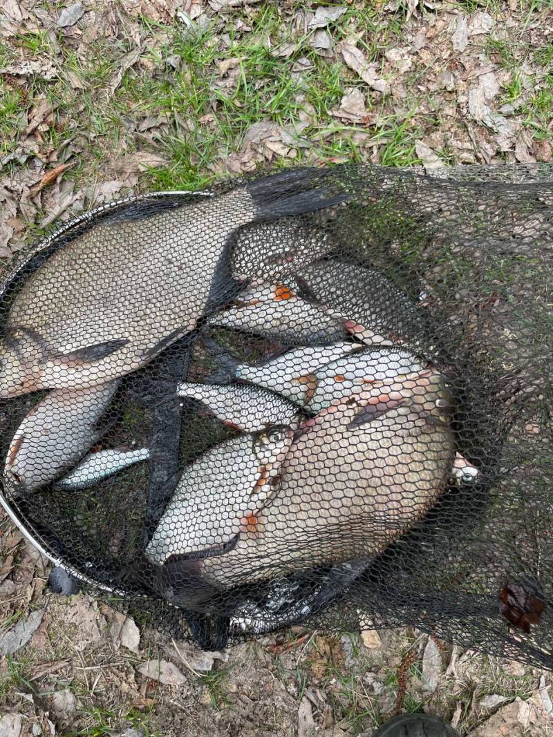 Фотоотчет рыбалки - Быхов