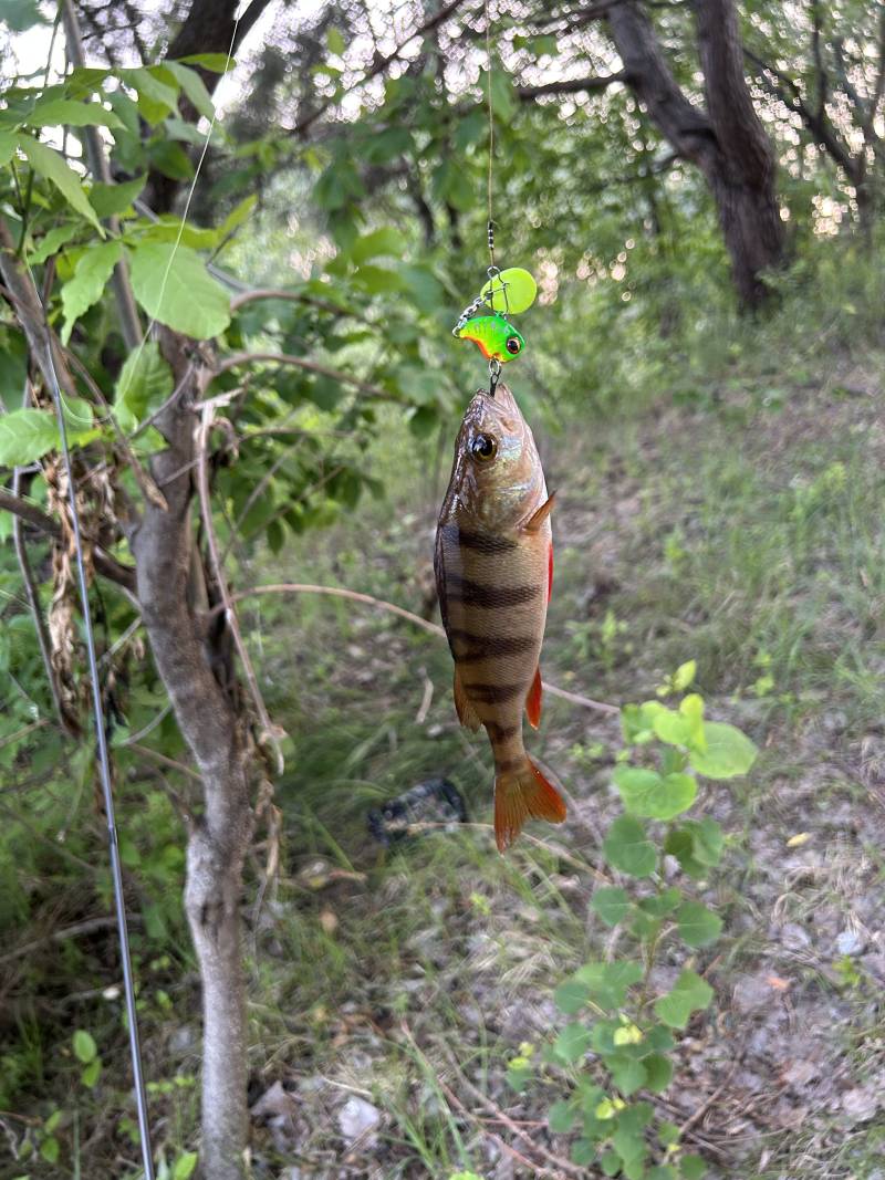 Фотоотчет рыбалки - Гомельская область