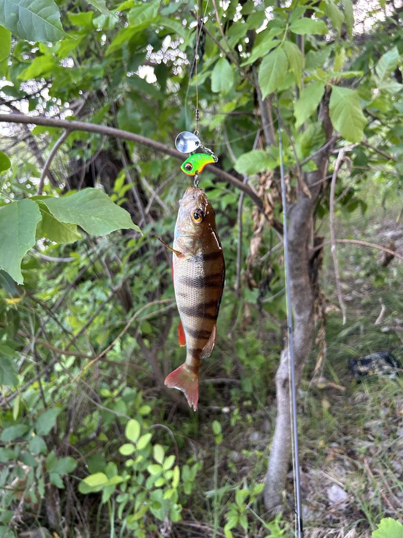 Фотоотчет рыбалки - Гомельская область