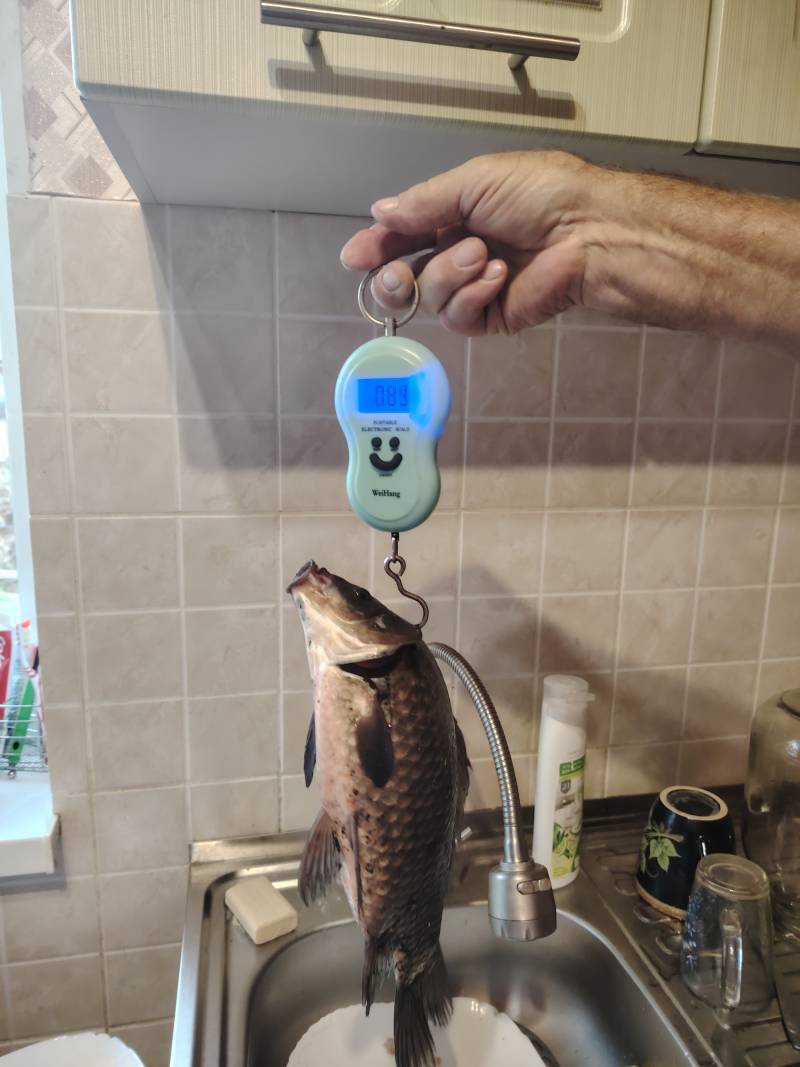 Фотоотчет рыбалки - Светлогорск